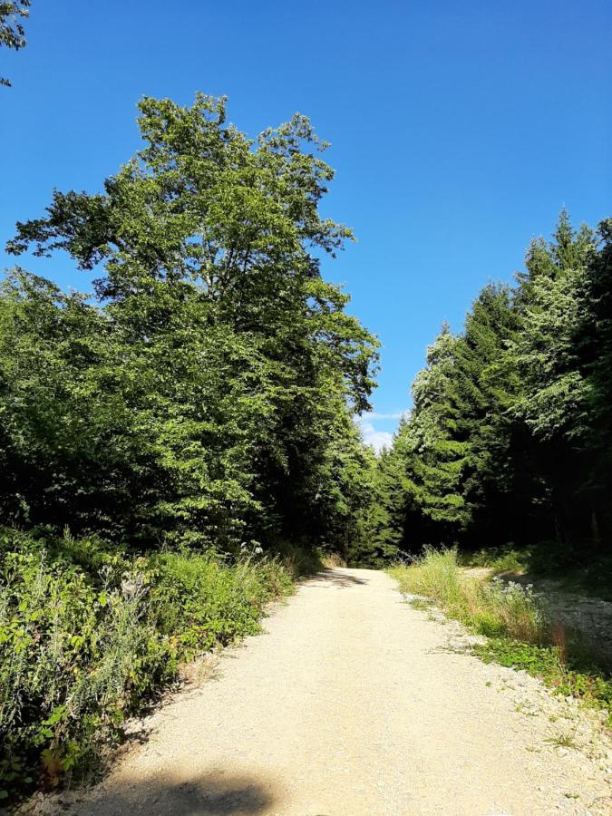 勒格兰德努瓦耶住宿加早餐旅馆 Ambronay 外观 照片
